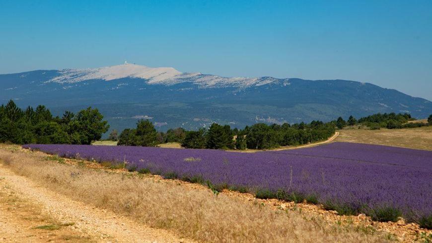 De Caractere Au Pied Du Mont Ventoux Avec Piscine Couverte Sault