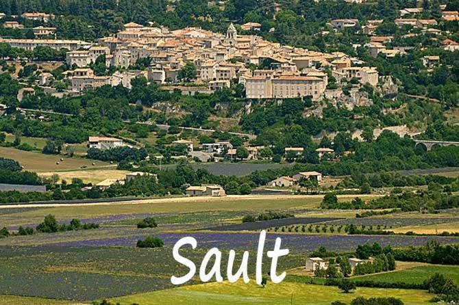 De Caractere Au Pied Du Mont Ventoux Avec Piscine Couverte Sault